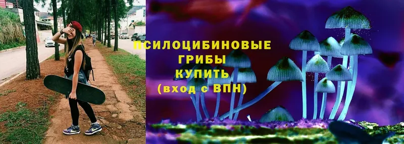 Галлюциногенные грибы мухоморы  Миньяр 